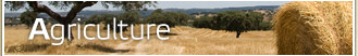 Agriculture
