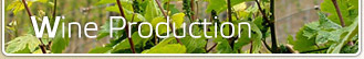 Wine Production